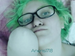 Aneris1718