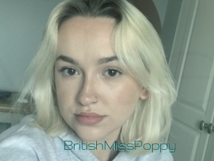 BritishMissPoppy