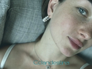 Cclandestina