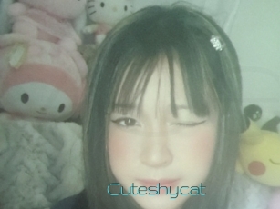 Cuteshycat