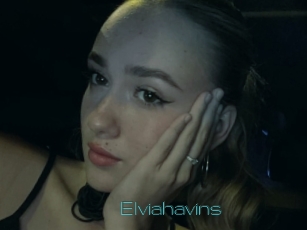 Elviahavins