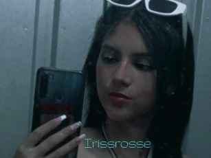 Irissrosse