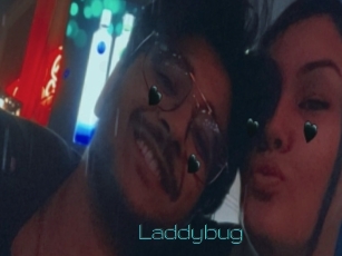 Laddybug