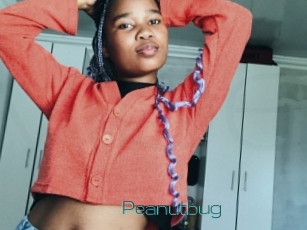 Peanutbug