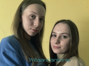 Willaandantonia